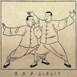 Hung Gar e Tai Chi Chuan