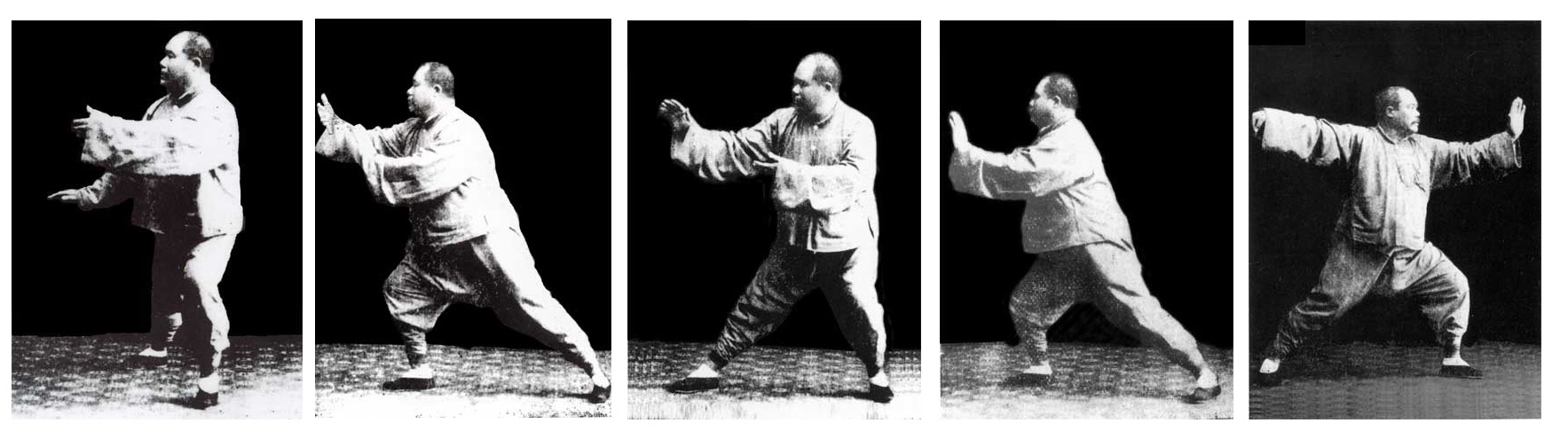 Formas de mão Tai chi chuan